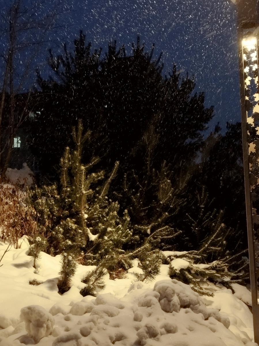 Ноябрь в Кемерово. Почти зима. Фото из личного архива автора.