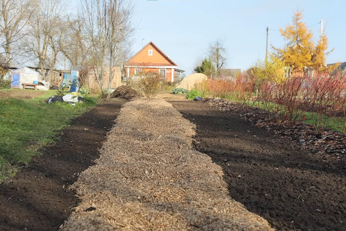 Скриншот видео
