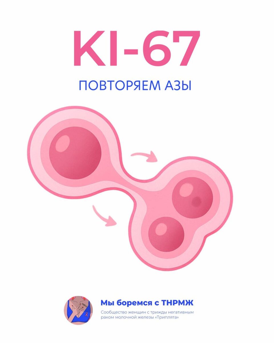 Что такое ki-67