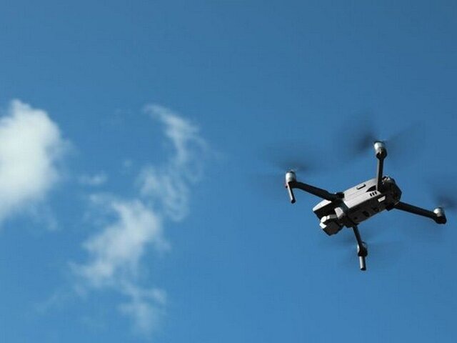    Фото: 123RF/liudmilachernetska