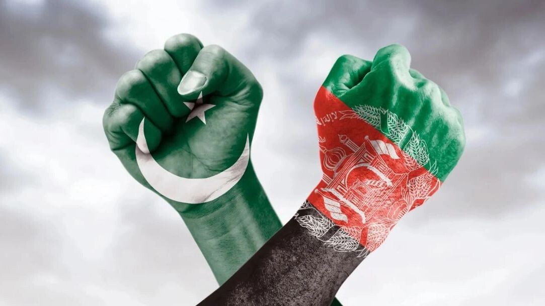    Фото: Efasein/Shutterstock/Fotodom