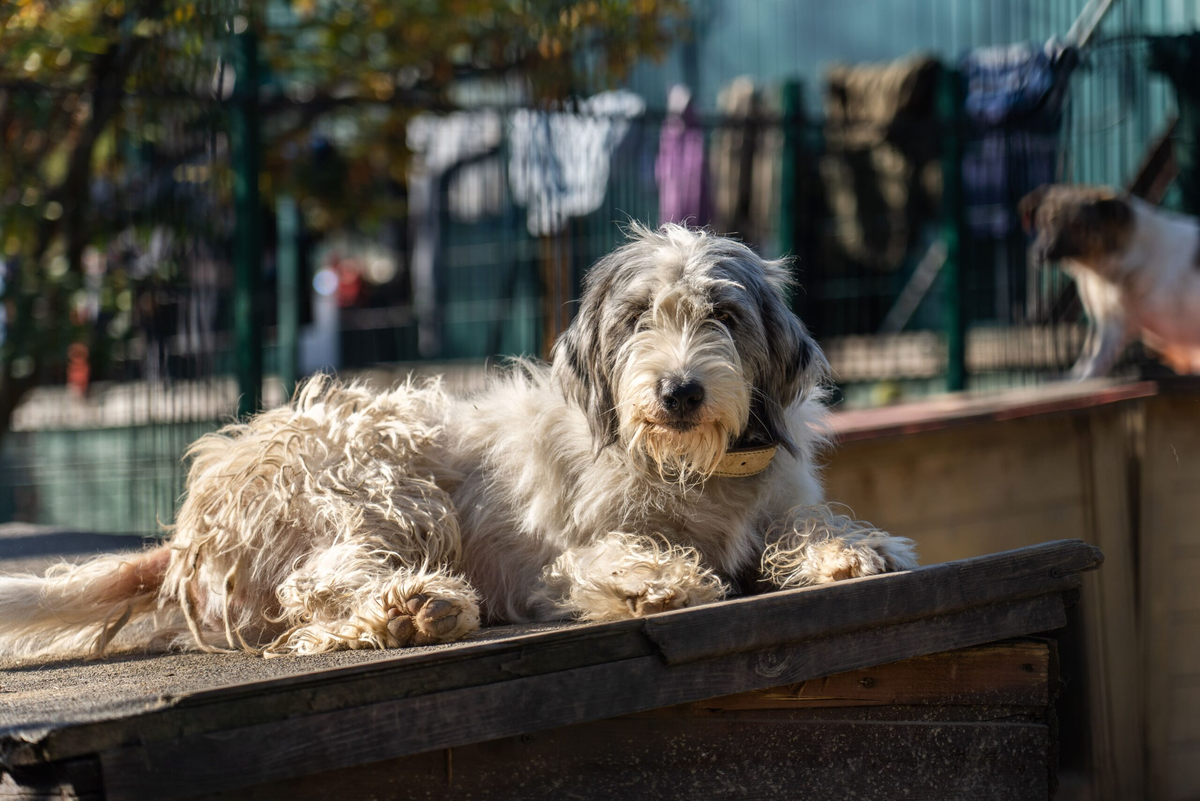 Фото: Александр Плонский / «ВиЖ»
