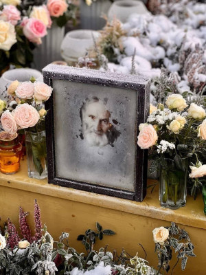 Фото: Бориса Корчевникова  📷
