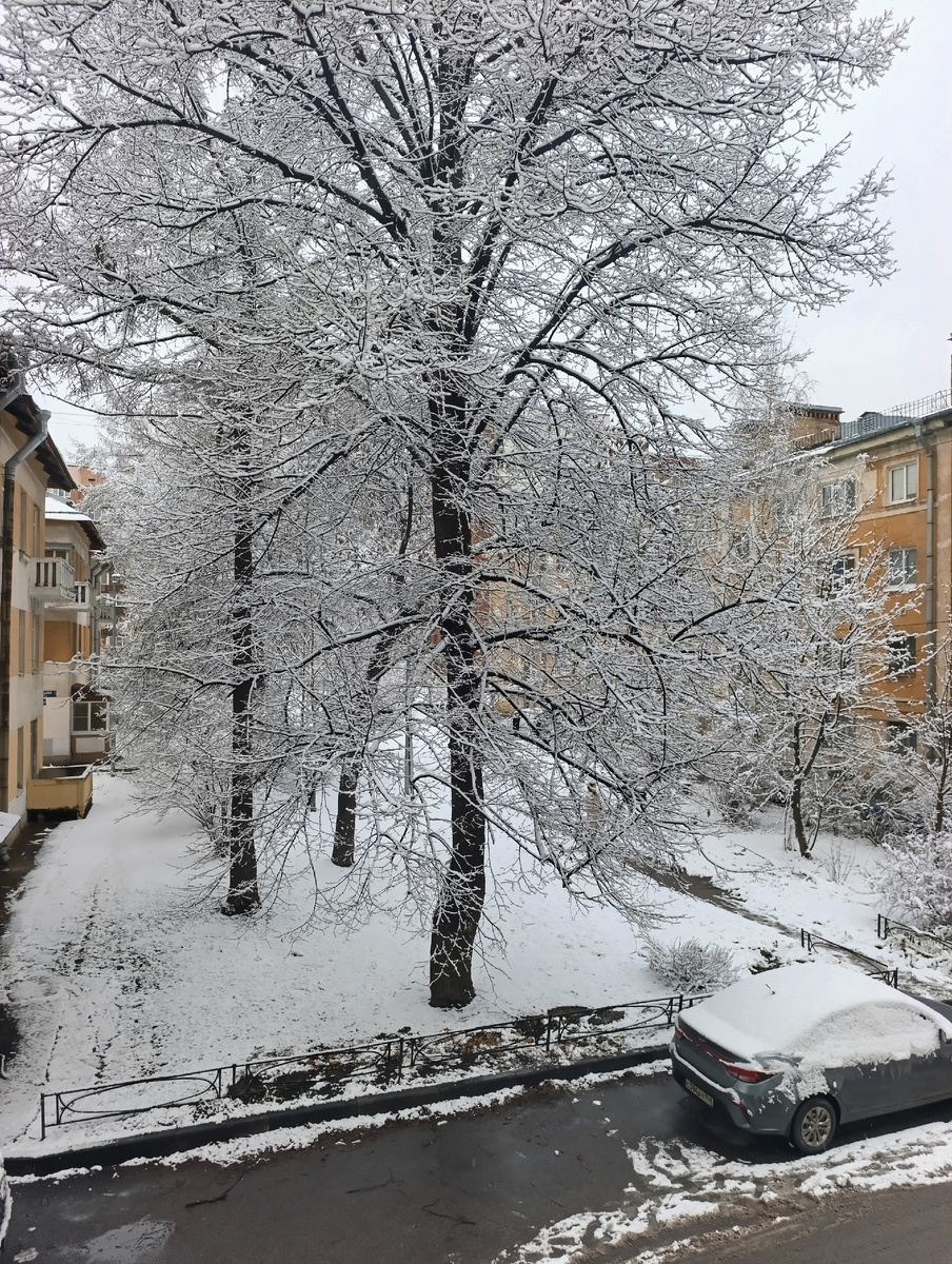 Все фото автора в статье. Во дворе.