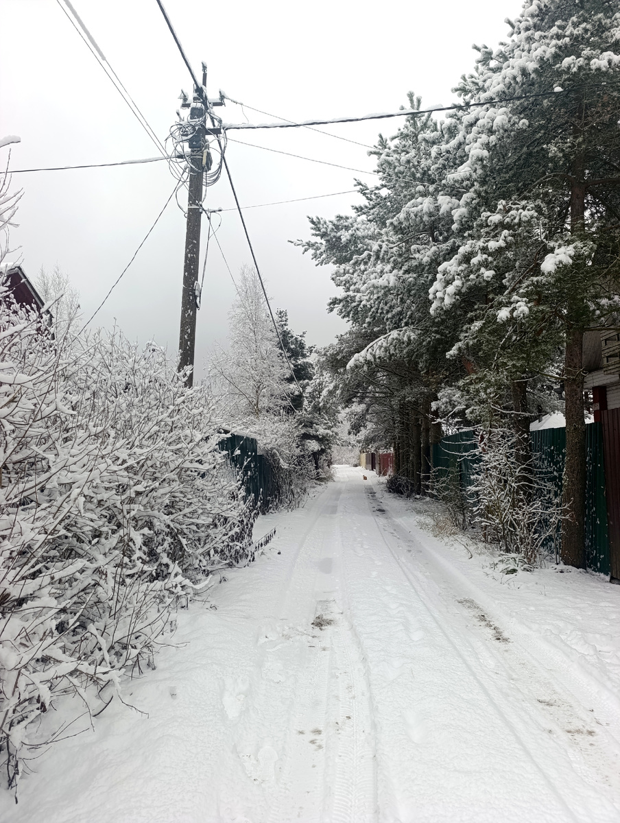 Дорога на дачах.