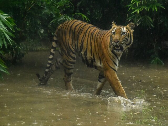    Фото: ТАСС/Zuma