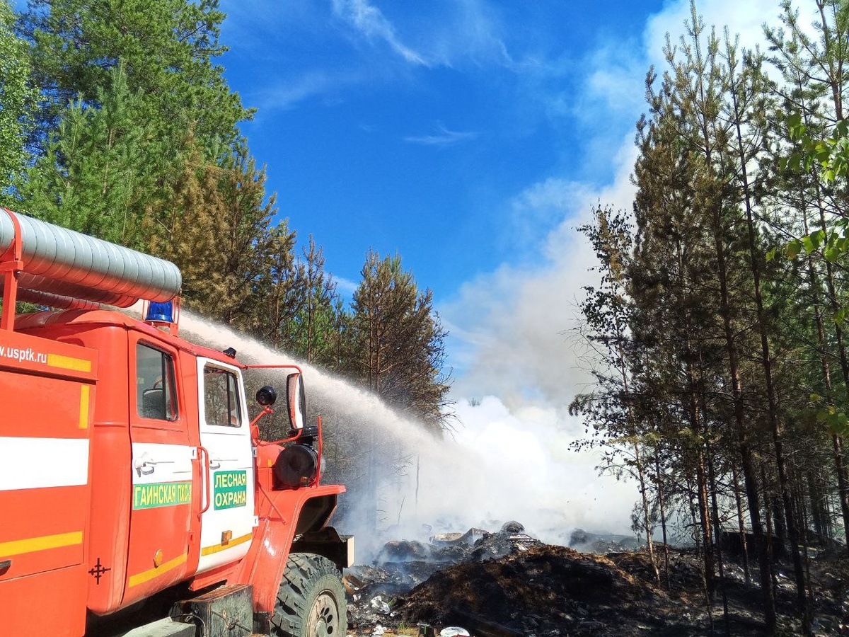    © министерство природных ресурсов, лесного хозяйства и экологии Пермского края