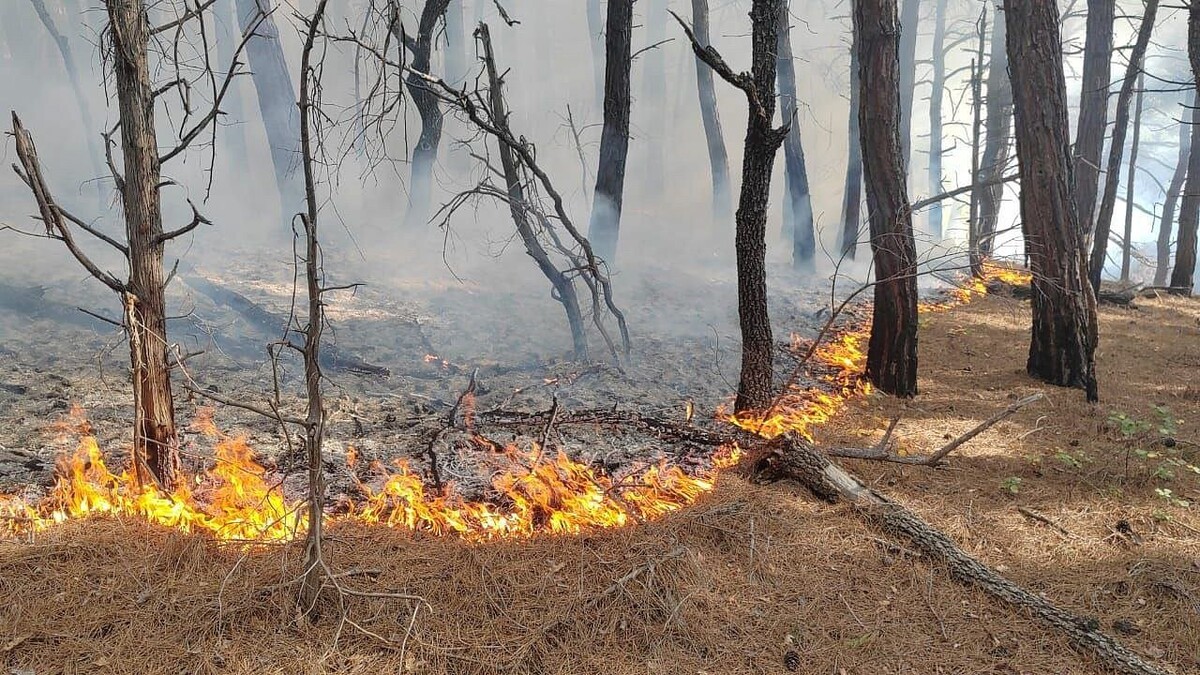    Фото: оперативный штаб Краснодарского края