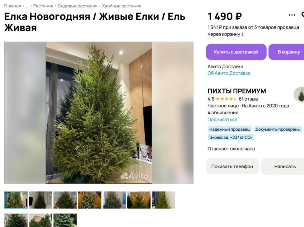     Источник: «Авито»