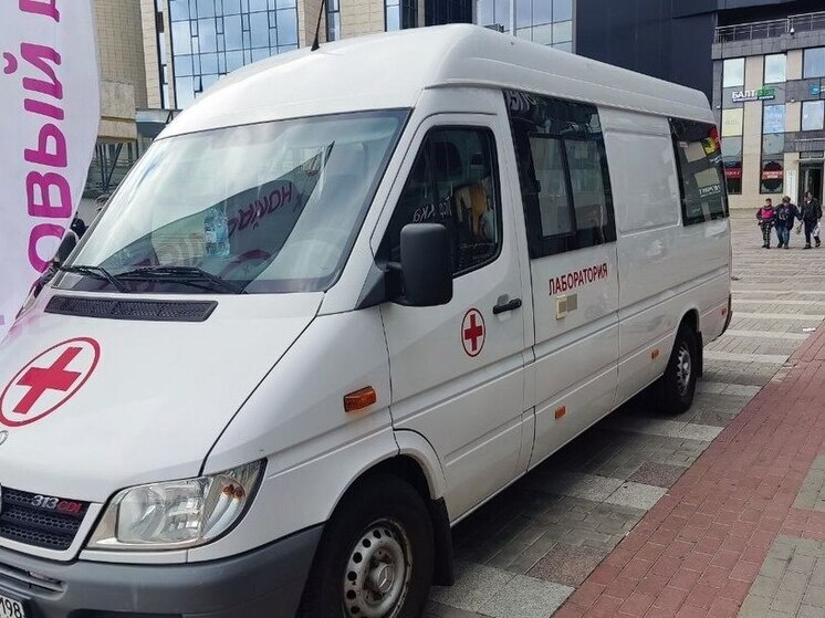     На прошлой неделе функционировало 145 мобильных бригад. Фото: архив МК в Питере