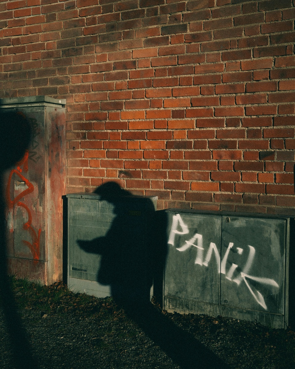 "Они говорят им нельзя рисковать
Потому что у них есть дом
В доме горит свет"(с) Фото: Unsplash