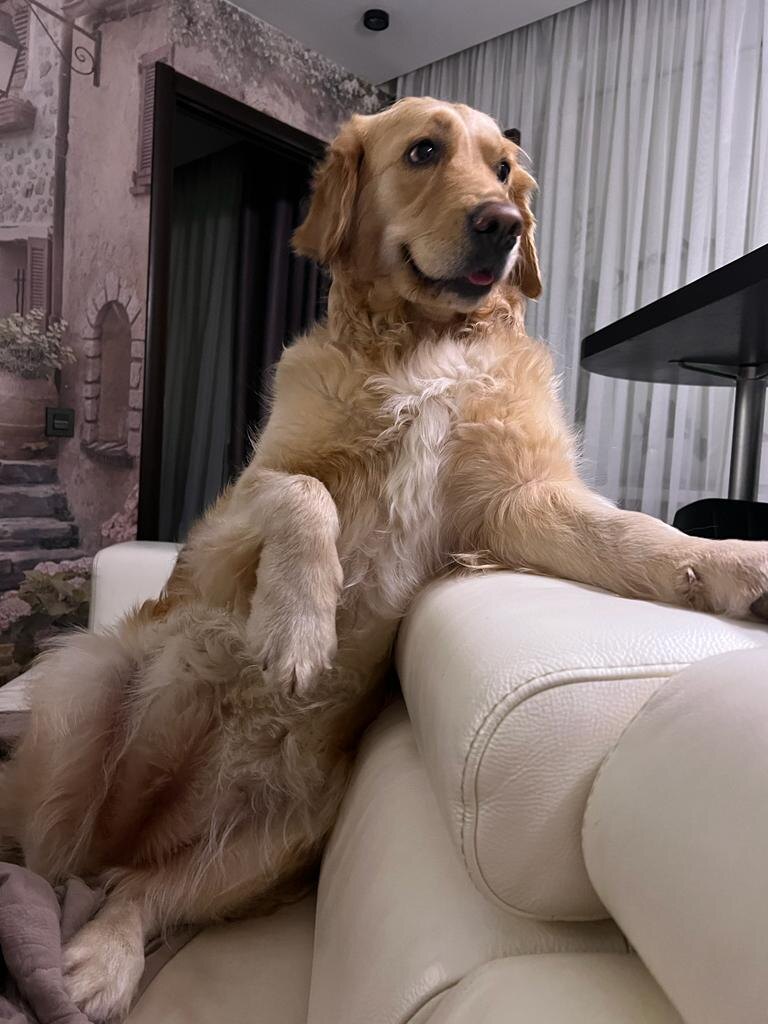 Оля любит чувствовать себя человеом