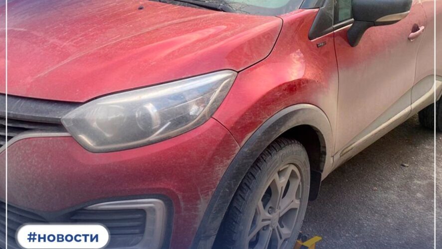    Фото: пресс-служба ГУФССП России по РТ