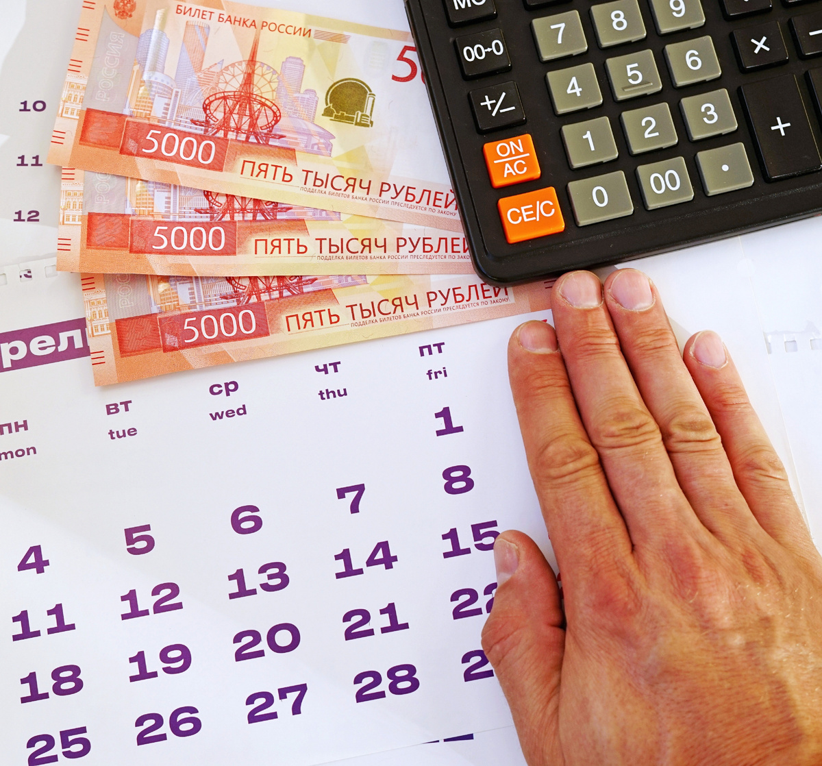 @TsibaevAlex/Shutterstock.com