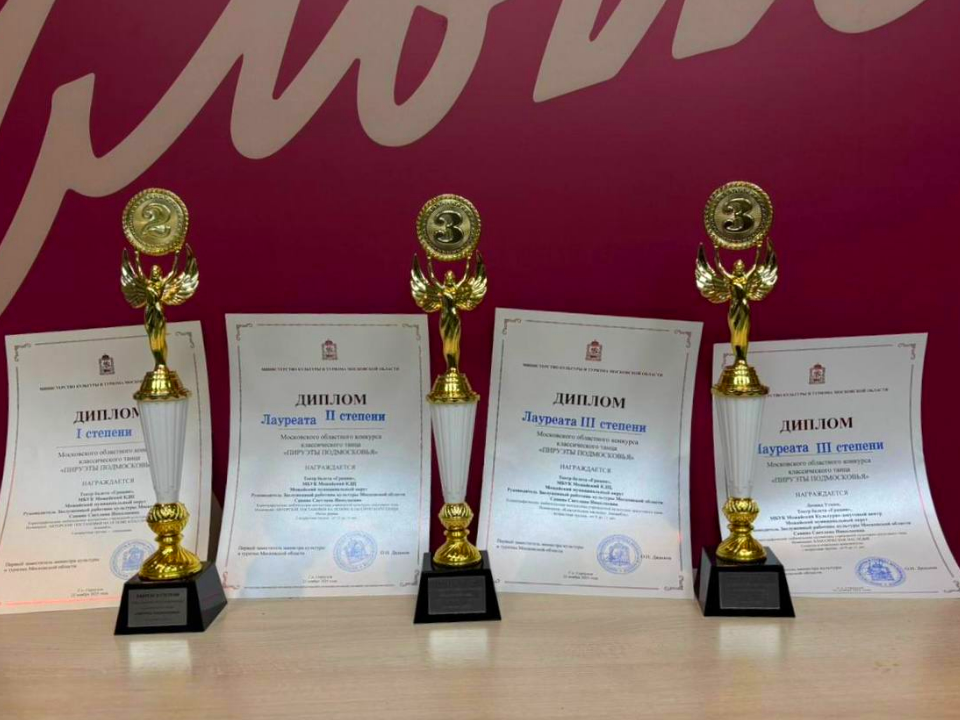    Фото: t.me/mozhayskyikdc