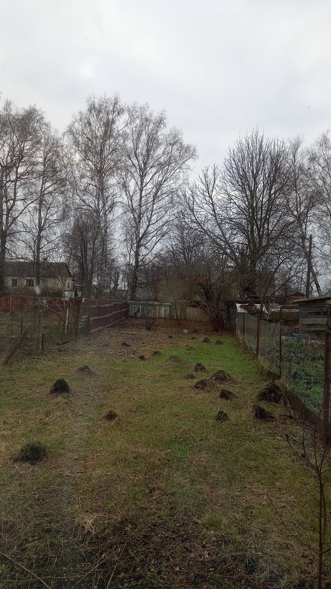 Вот такая погода