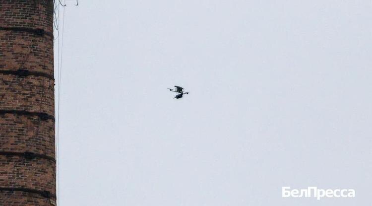 Фото: Алексей Дацковский (архив)