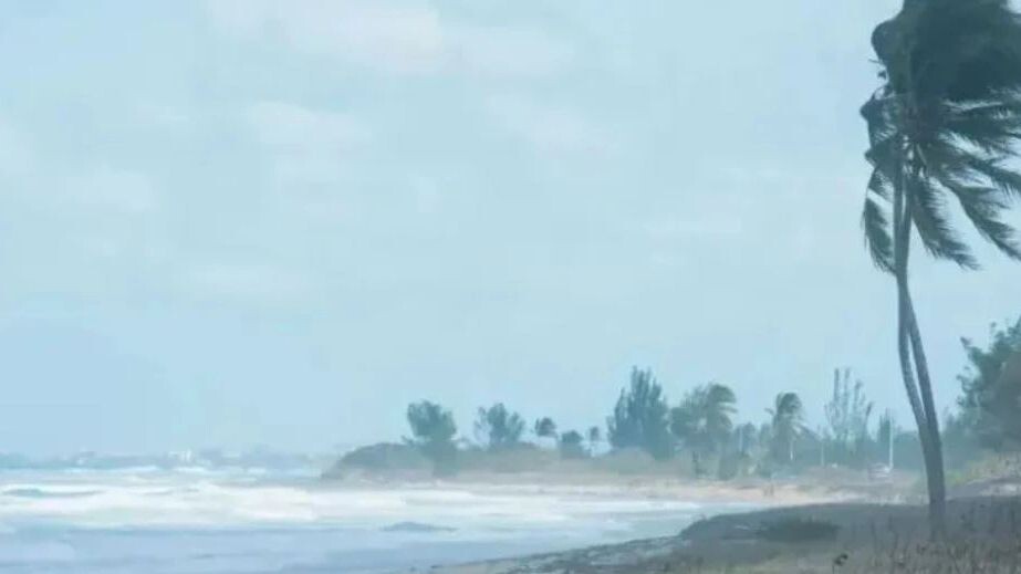    Фото: simonovstas/Shutterstock/Fotodom