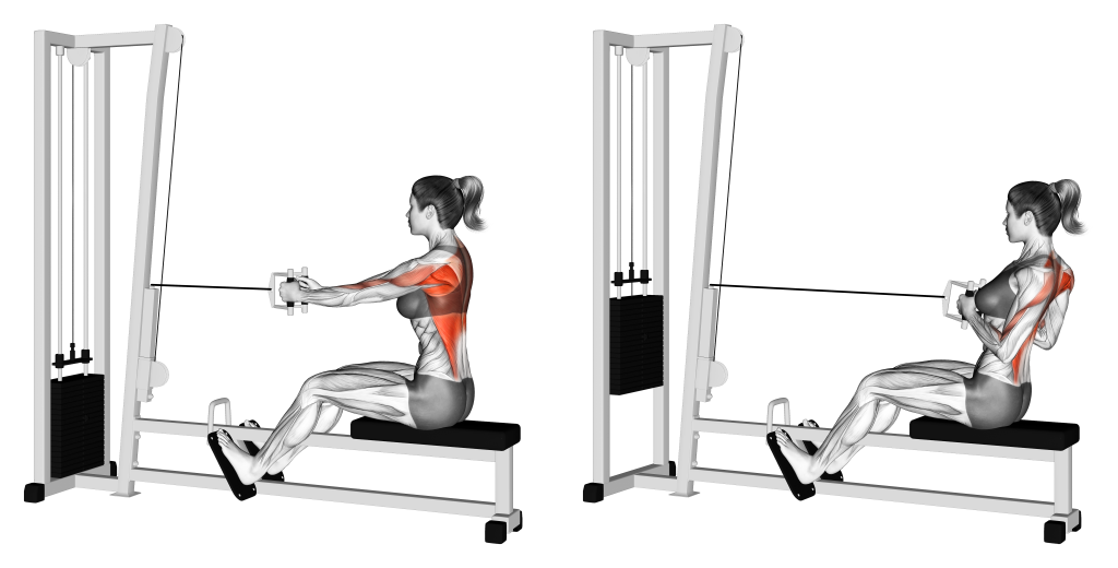 Кстати, многие девушки называют упражнения в тренажерах «мужскими». Нельзя делить упражнения на «мужские» и «женские». Сильная спина нужна всем! 