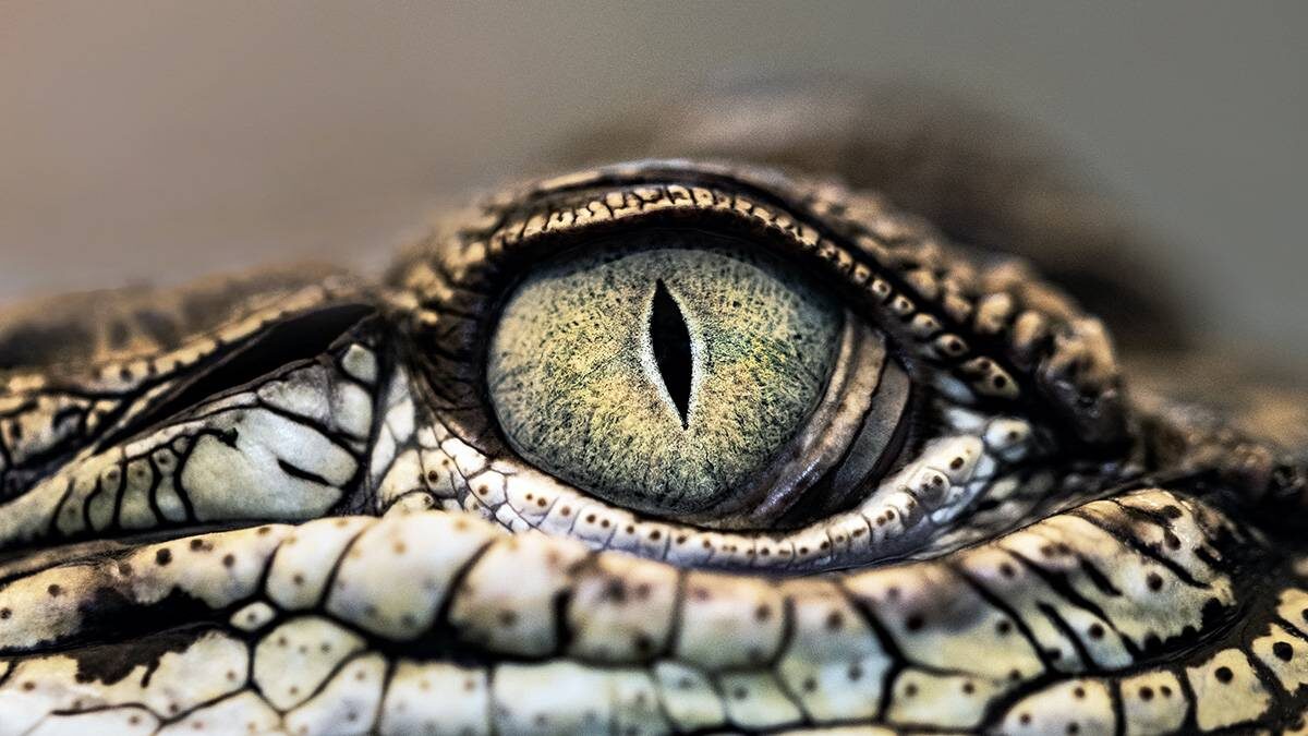    Фото: Unsplash