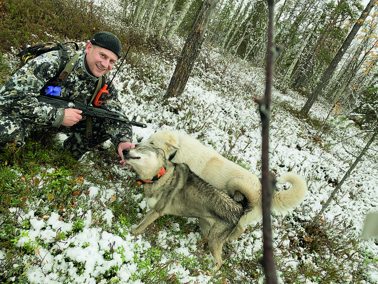     Суровые к зверю собаки очень ласковы к хозяину. Фото: Данил ПЕСТЕРЕВ