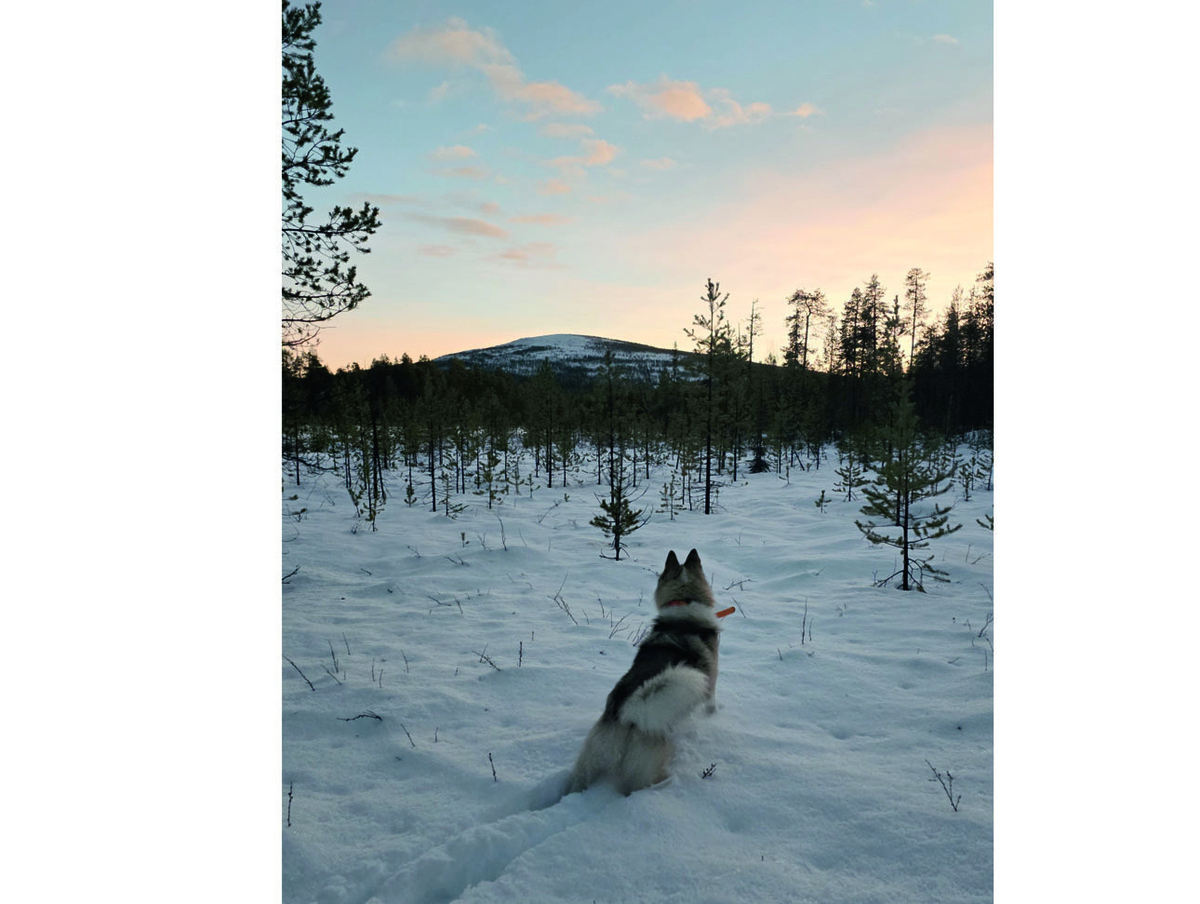     Начало дня волнует всех членов команды. Фото: Данил ПЕСТЕРЕВ