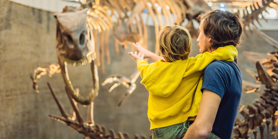 Зимние каникулы в Москве: новогодний тур от Алеан «Почемучки» для тех, кто любит открывать новое