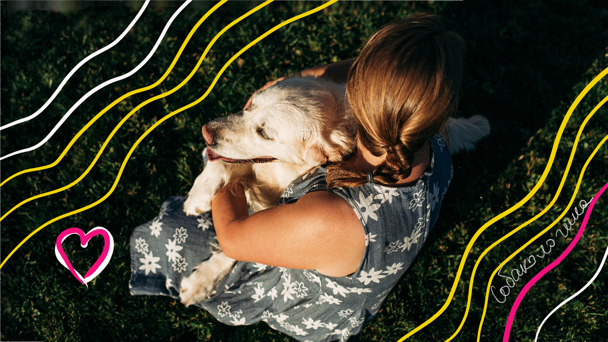 Для меня питомцы это члены семьи – мохнатые и хвостатые. Муж называем их "наши мохнатые дочки", а сын их просто обожает.