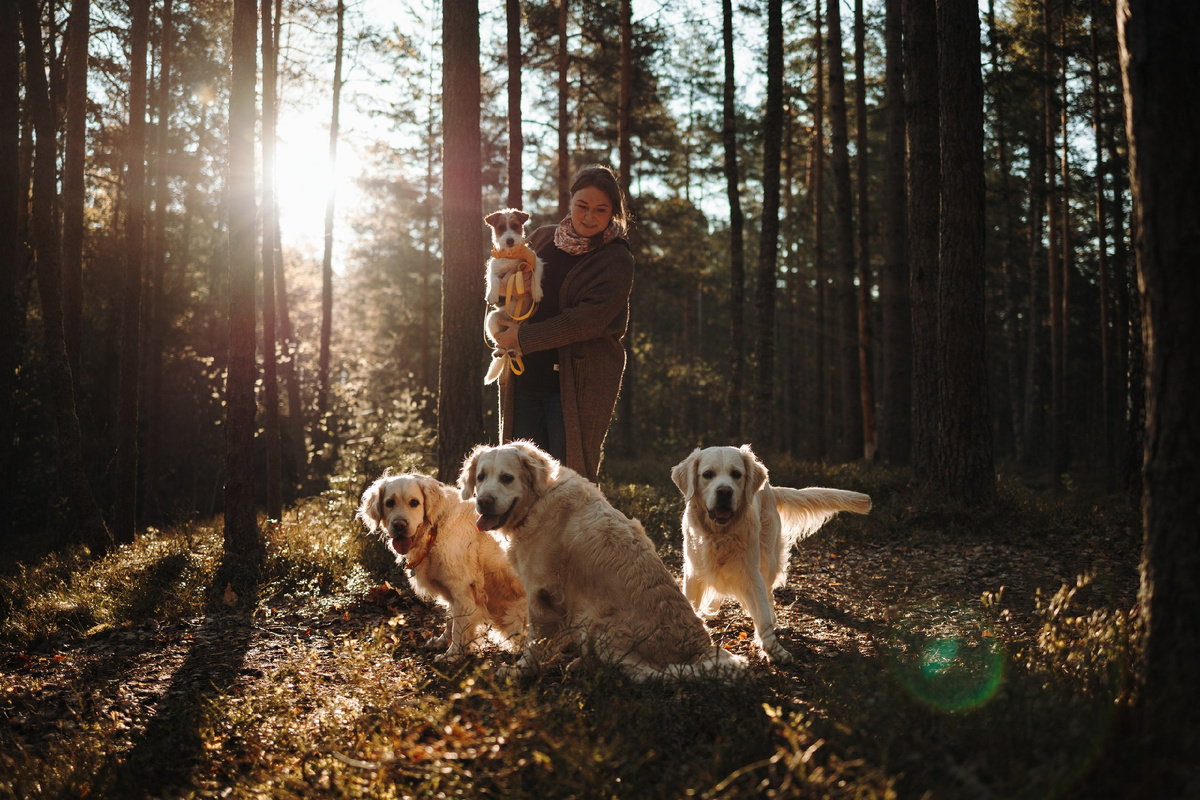 Я и моя стая - Мия, Руби, Лола и маленькая Мята в руках.