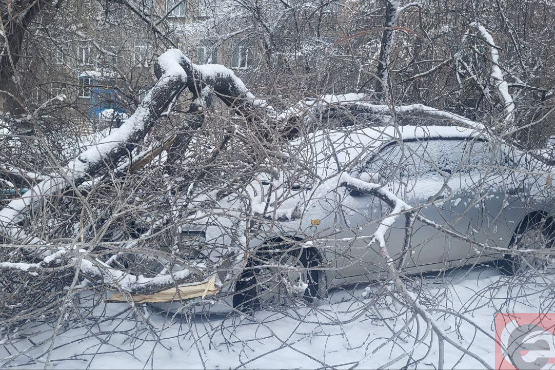    Фото: читатель "Прецедента"
