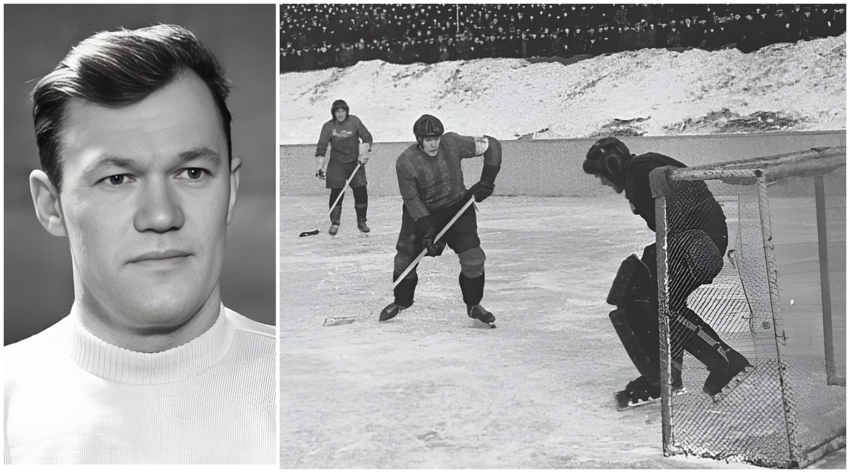 Коллаж автора. Фото взяты из открытого источника Яндекс.Картинки