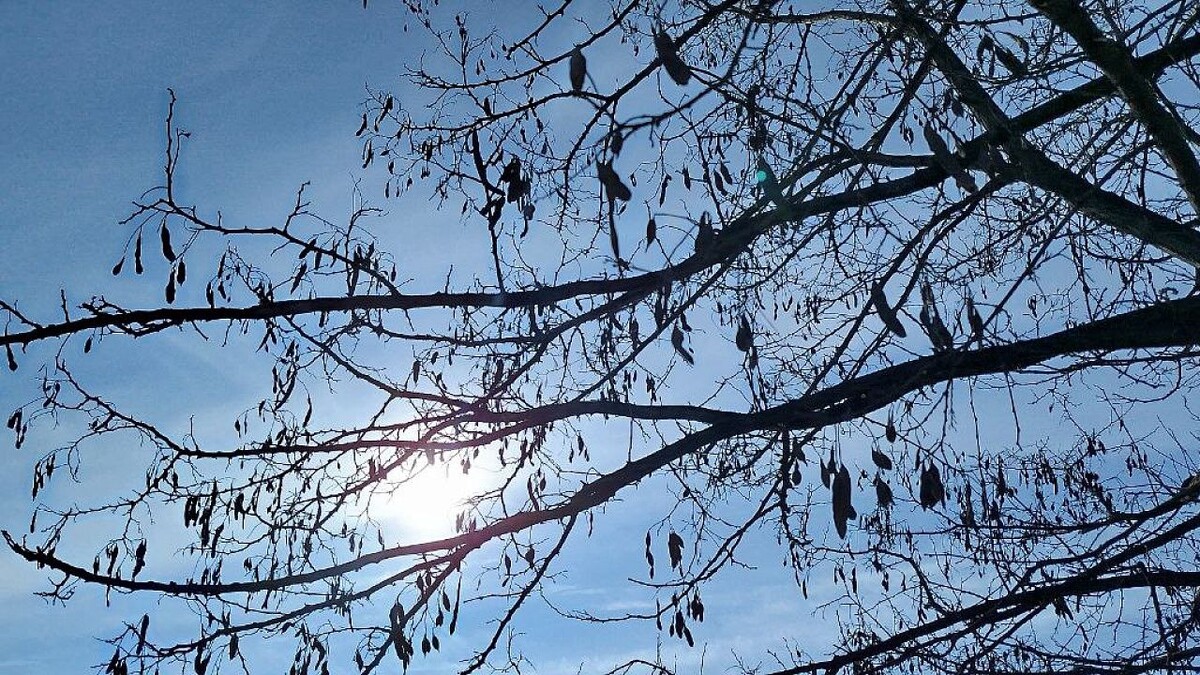    Фото: телеканал «Краснодар»