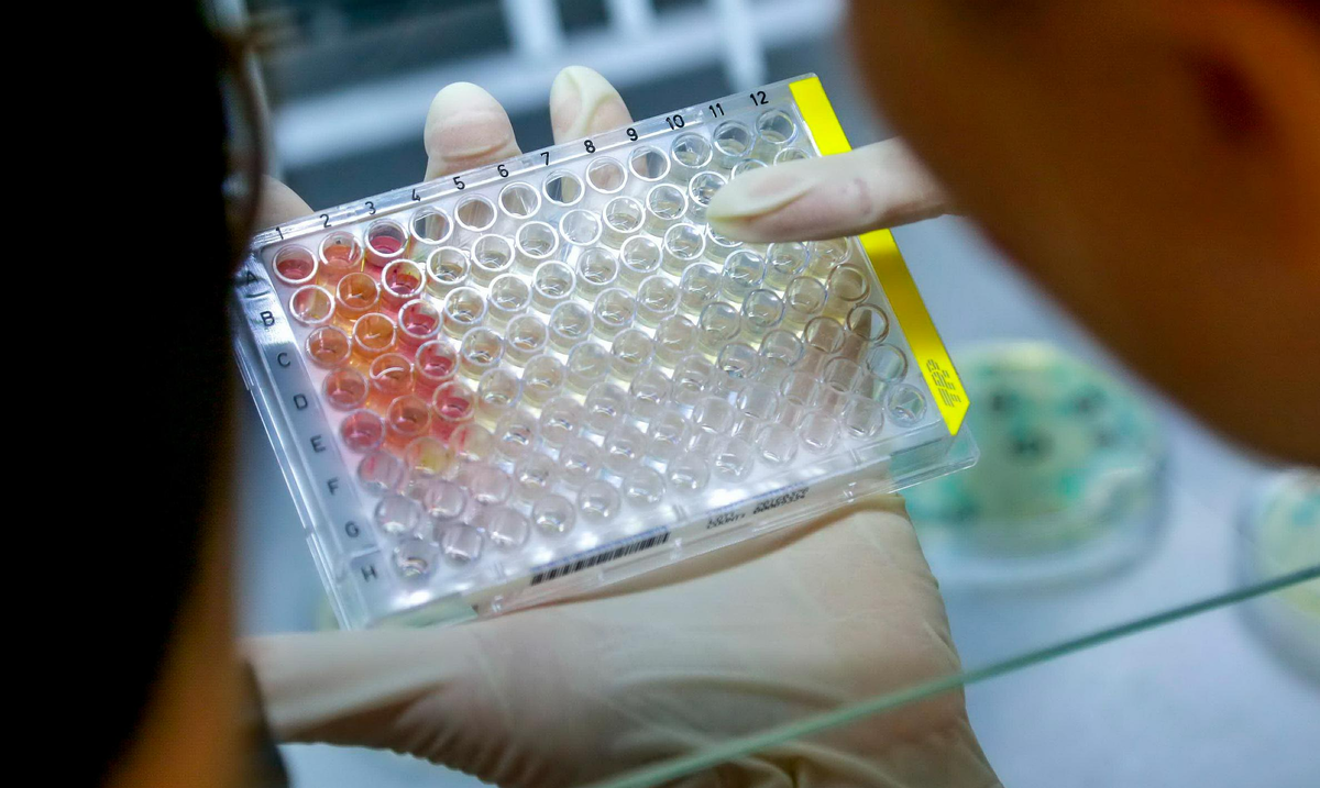 Фото: nsknews.info