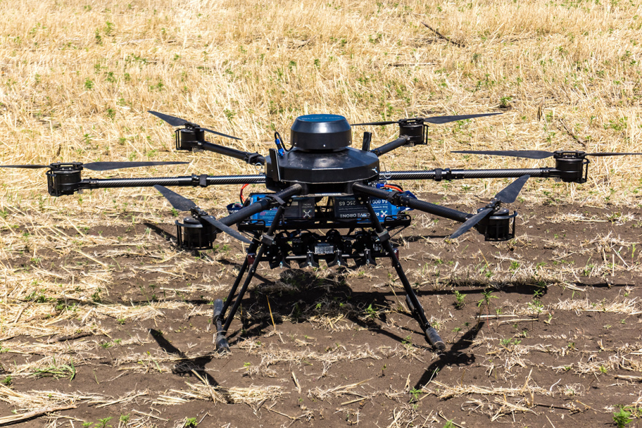    Shutterstock/FOTODOM