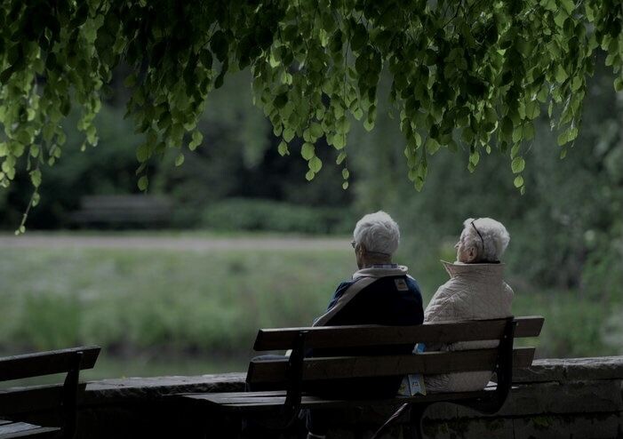 фото из источников интернета