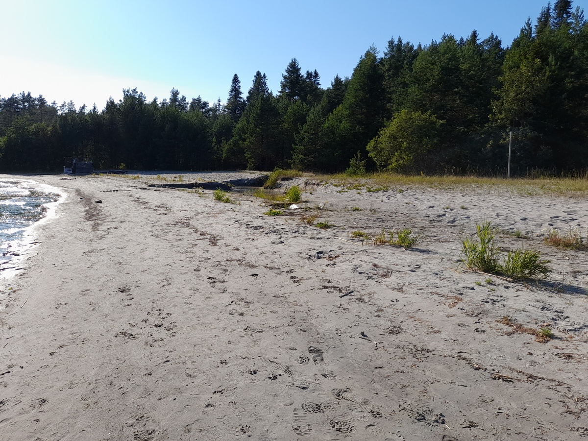 Уровень воды также минус почти метр. ФОТО АВТОРА
