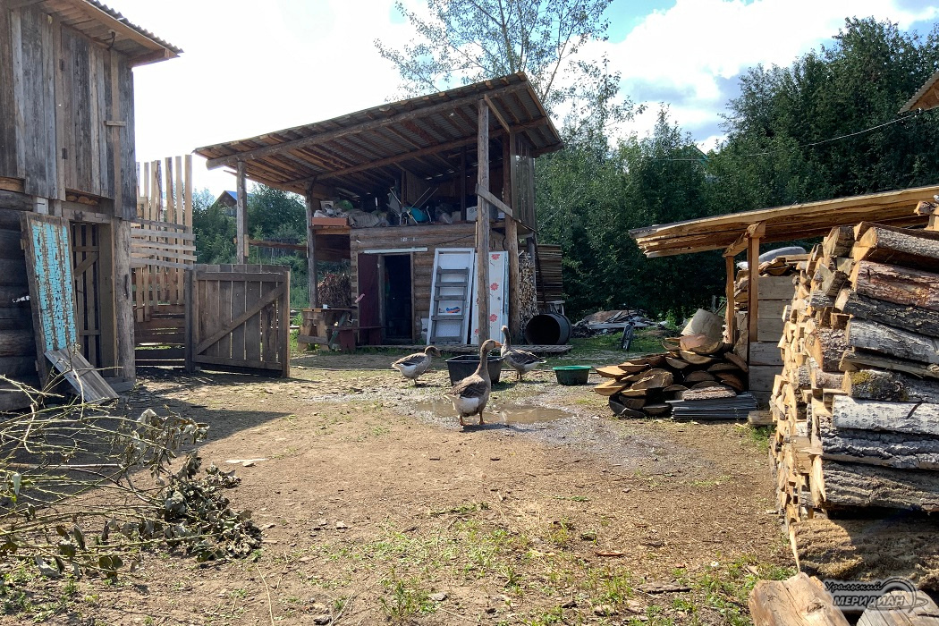    Фото: © ИА «Уральский меридиан»