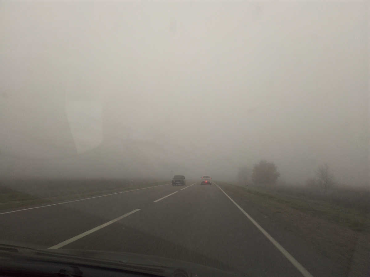Вышло авто из тумана😱