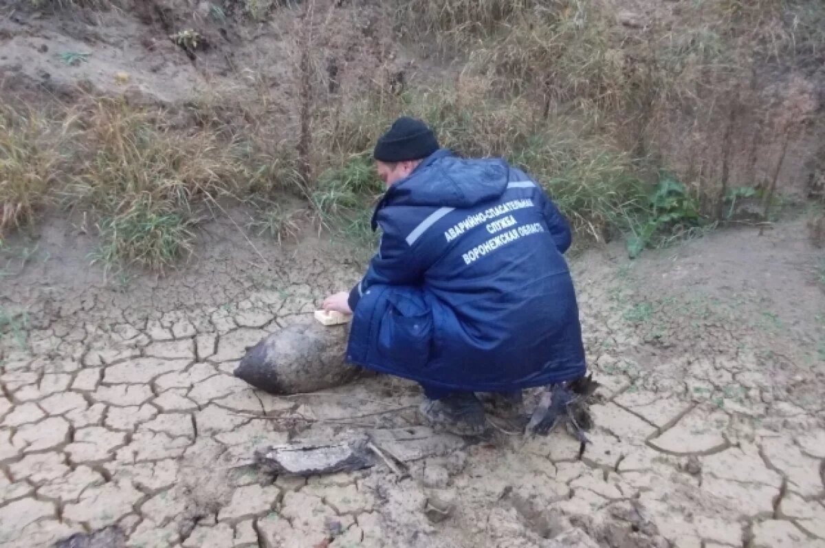    Три ручные гранаты подорвали в Воронежской области