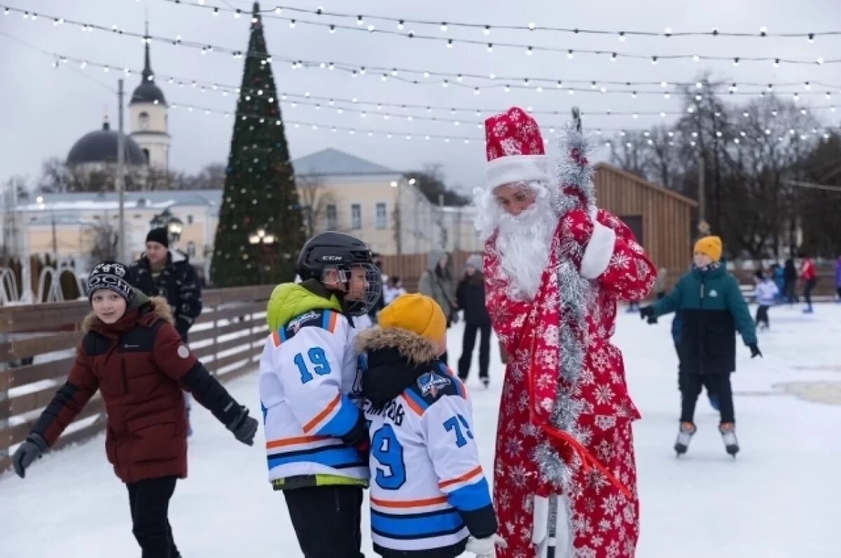    В этом году калужан снова ждут новогодние елки и каток.