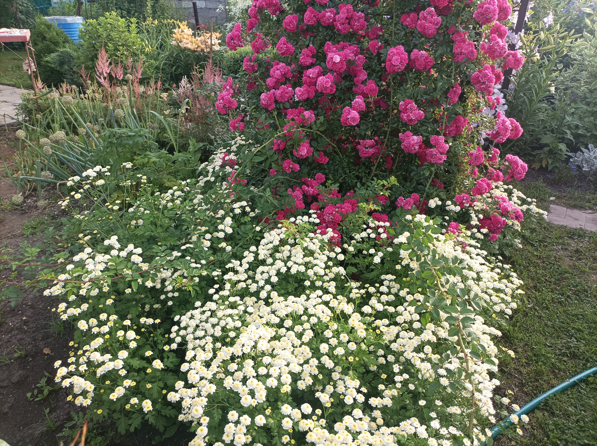 фото можно листать