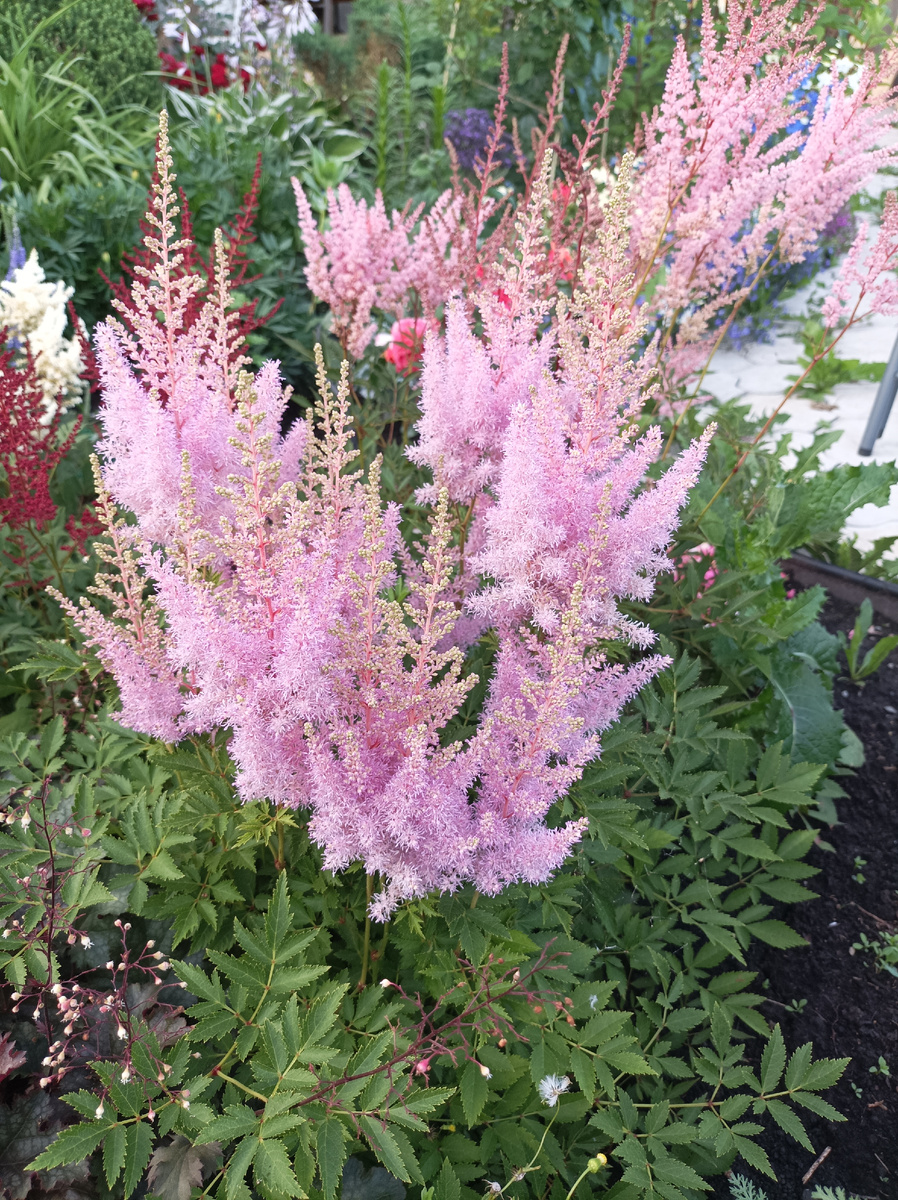 фото можно листать