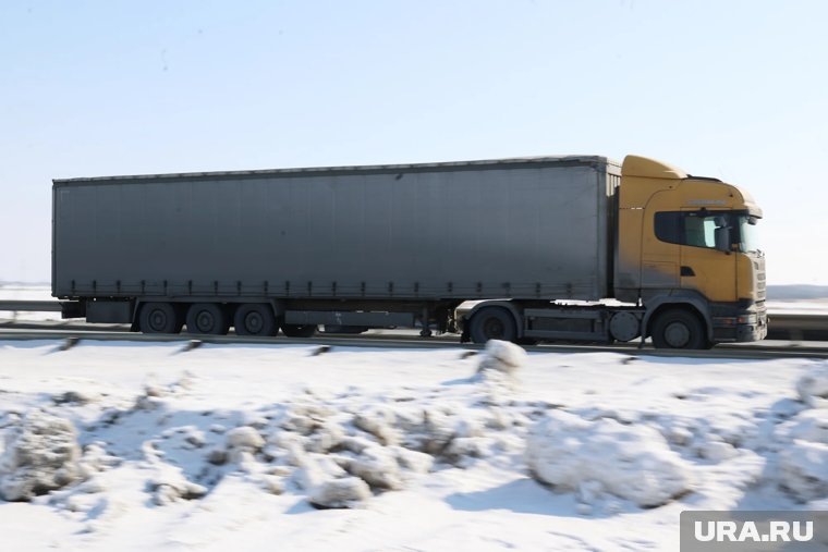 В ЯНАО врачи спасли водителя-дальнобойщика и его собаку