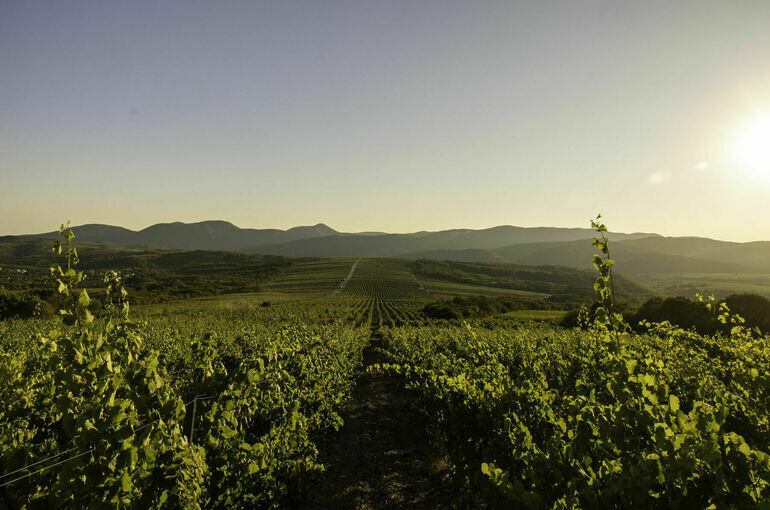   Пресс-служба ГК "Абрау-Дюрсо"