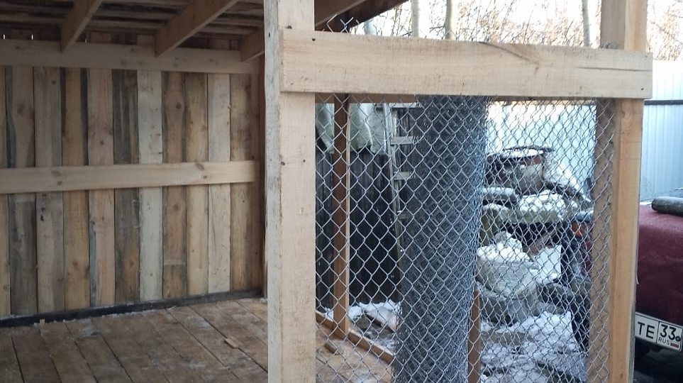 Алтай готовится к переезду в новый дом! Просим помощи.