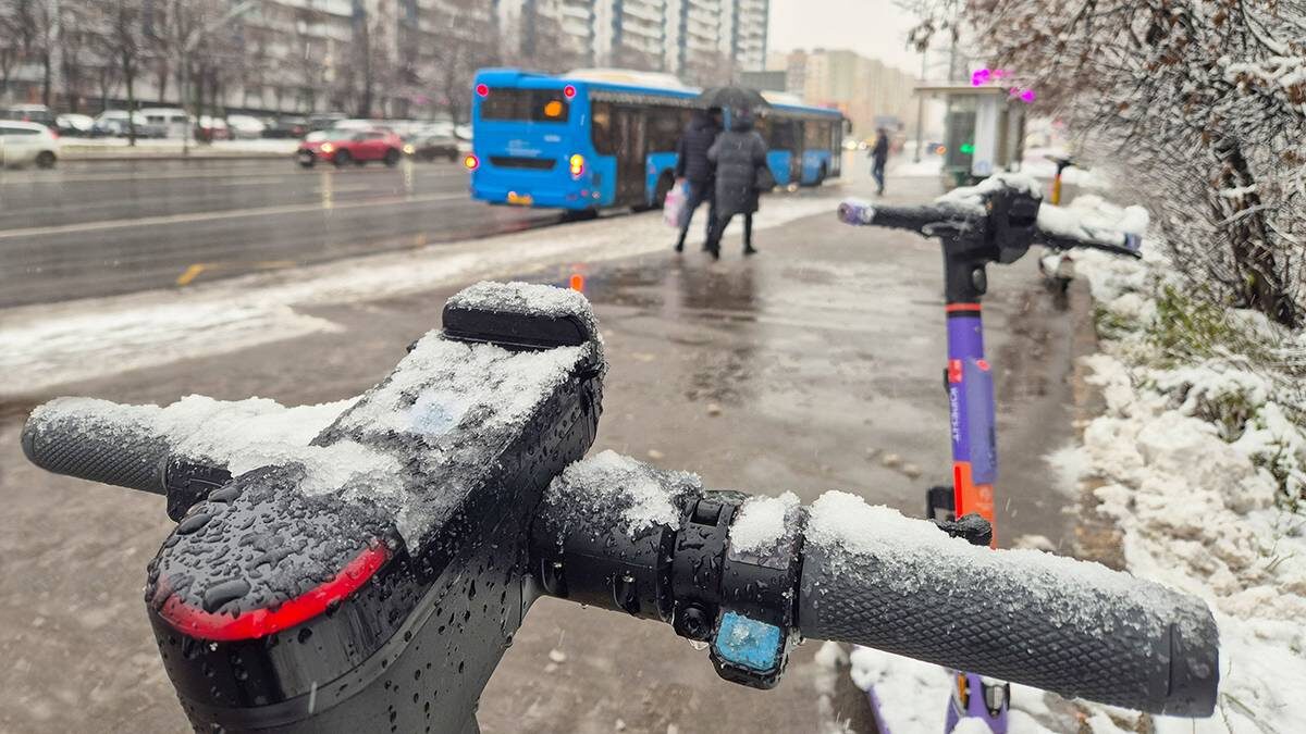    Фото: Ярослав Чингаев / АГН Москва