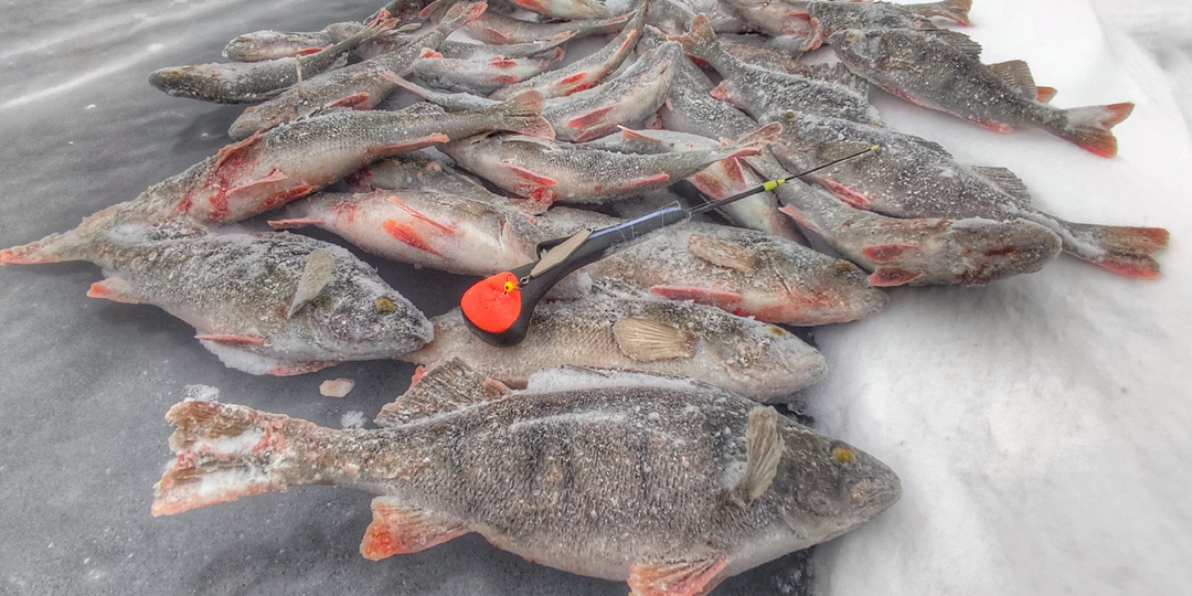 15 зимних блесен - для меня этого достаточно