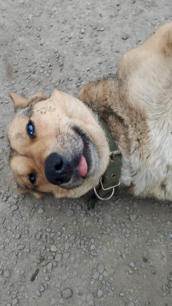 Фото автора