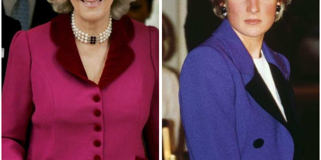 Чем Камилла лучше Дианы, по мнению короля