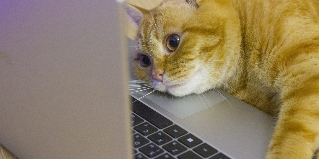 Легальный способ вернуть рабочую лицензию Windows после переустановки: подробная инструкция без нервов